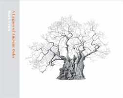 Legacy of Ancient Oaks (Frith Mark)(Pevná vazba)