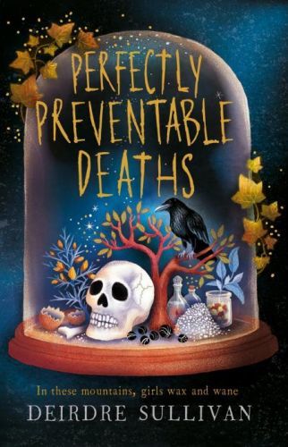 Perfectly Preventable Deaths (Sullivan Deirdre)(Paperback / softback)