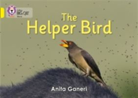 Helper Bird - Band 03/Yellow (Ganeri Anita)(Paperback)