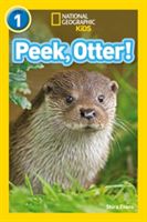 Peek, Otter! (Evans Shira)(Paperback)