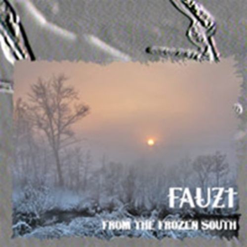 From The Frozen South (Fauz't) (CD / Album)