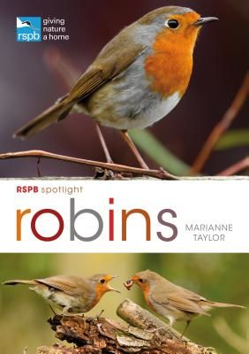 RSPB Spotlight: Robins (Taylor Marianne)(Paperback / softback)