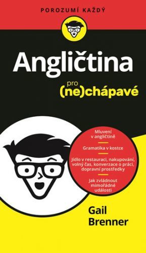 Angličtina pro nechápavé - Brenner Gail