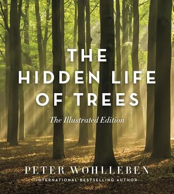 Hidden Life of Trees - The Illustrated Edition (Wohlleben Peter)(Pevná vazba)