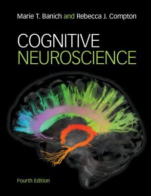 Cognitive Neuroscience (Banich Marie T.)(Paperback)