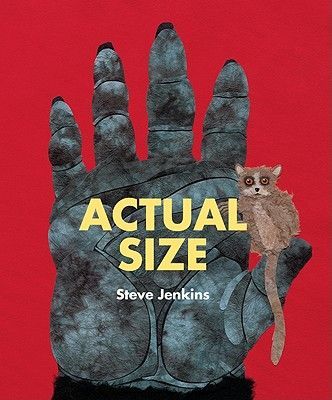 Actual Size (Jenkins Steve)(Paperback)