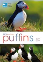 RSPB Spotlight: Puffins (Dunn Euan)(Paperback / softback)