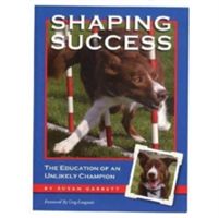 Shaping Success (Garrett Susan)(Paperback)