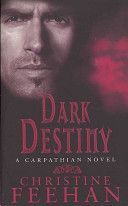 Dark Destiny (Feehan Christine)(Paperback)