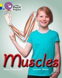 Muscles (Claybourne Anna)(Paperback)