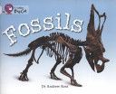 Fossils - Band 10/White (Ross Andrew)(Paperback)
