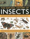 Natural History of Insects - A Guide to the World of Arthropods, Covering Many Insects Orders, Including Beetles, Flies, Stick Insects, Dragonflies, Ants and Wasps, as Well as Microscopic Creatures (Walters Martin)(Paperback)