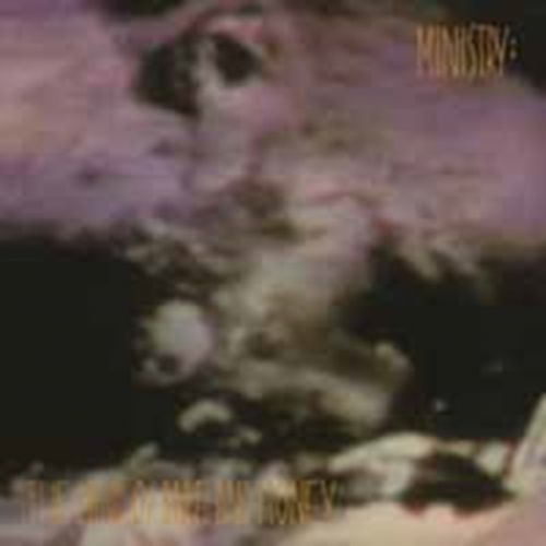 Land Of Rape & Honey (Ministry) (Vinyl / 12