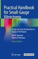 Practical Handbook for Small-Gauge Vitrectomy - A Step-By-Step Introduction to Surgical Techniques (Spandau Ulrich)(Pevná vazba)