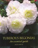 Tuberous Begonias - An Essential Guide (Larter Jack)(Pevná vazba)