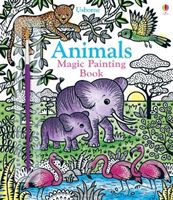 Magic Painting Animals(Paperback / softback)