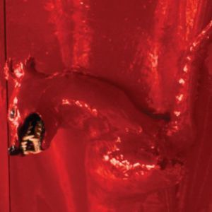 A Red Score in Tile (William Basinski) (CD)