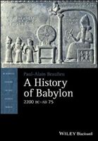 History of Babylon (Beaulieu Paul-Alain)(Paperback)