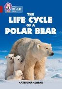 Life Cycle of a Polar Bear - Band 14/Ruby (Clarke Catriona)(Paperback)