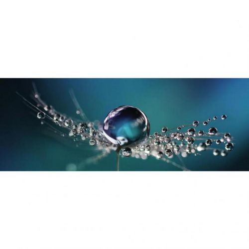 Obraz Skleněný Květiny 30/80/140 Cm