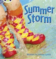 Summer Storm (Lynch Emma)(Paperback)