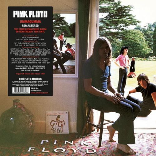 Ummagumma (Pink Floyd) (Vinyl / 12
