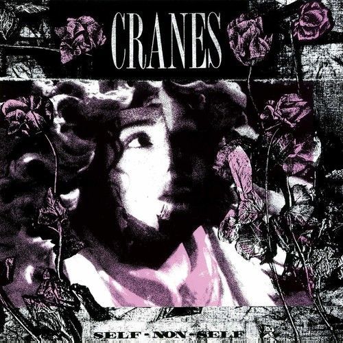 Self-non-self (Cranes) (Vinyl / 12