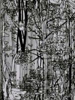 Bucherwald (Giezendanner Ingo)(Paperback)