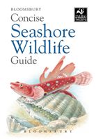 Concise Seashore Wildlife Guide (Bloomsbury)(Paperback / softback)