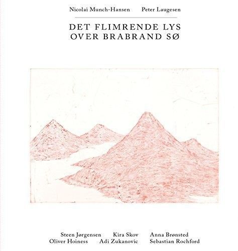 Det Flimrende Lys Over Brabrand So (Nicolai Munch-Hansen & Peter Laugesen) (CD / Album)