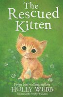 Rescued Kitten (Webb Holly)(Paperback)
