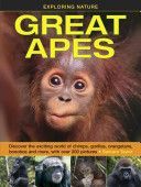 Exploring Nature: Great Apes (Taylor Barbara)(Pevná vazba)