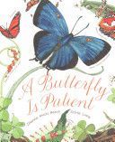 Butterfly is Patient (Hutts Aston Dianna)(Paperback)