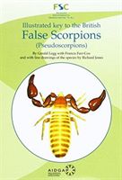 Illustrated Key to the British False Scorpions - (Pseudoscorpions) (Legg Gerald)(Paperback)