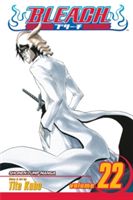 Bleach #22 - neuveden