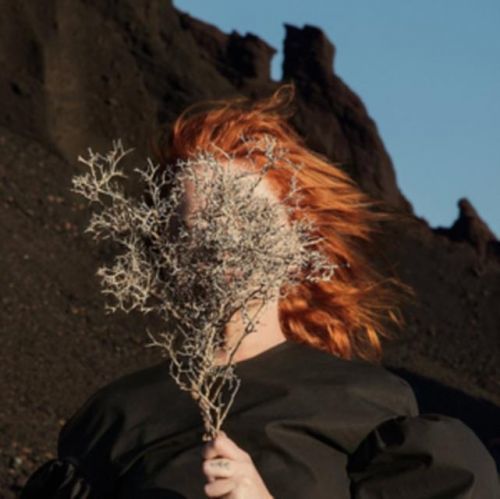 Silver Eye (Goldfrapp) (Vinyl / 12