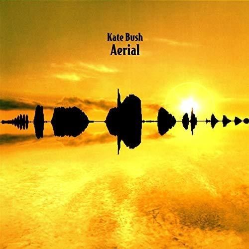 Aerial (Kate Bush) (Vinyl / 12