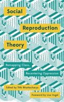 Social Reproduction Theory - Remapping Class, Recentering Oppression(Paperback)