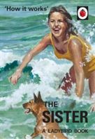 How it Works: The Sister (Ladybird for Grown-Ups) (Hazeley Jason)(Pevná vazba)