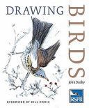 Drawing Birds (Busby John)(Paperback)