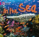 In the Sea (Heddle Becca)(Paperback)