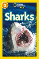 Sharks (Schreiber Anne)(Paperback)