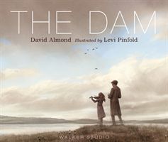 Dam (Almond David)(Pevná vazba)