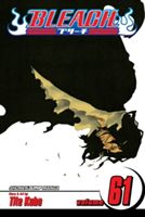 Bleach, Volume 61 (Kubo Tite)(Paperback)