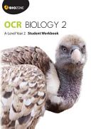 OCR Biology 2: A-Level (Greenwood Tracey)(Paperback)