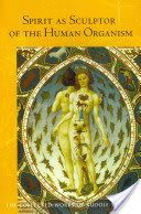 Spirit as Sculptor of the Human Organism (Steiner Rudolf)(Paperback)