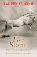 Fire Storm (St. John Lauren)(Paperback)