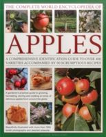 Complete World Encyclopedia of Apples - A Comprehensive Identification Guide to Over 400 Varieties Accompanied by 95 Scrumptious Recipes (Mikolajski Andrew)(Paperback)