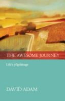Awesome Journey - Life's Pilgrimage (Adam David)(Paperback)
