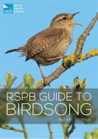 RSPB Guide to Birdsong (Thomas Adrian)(Paperback / softback)